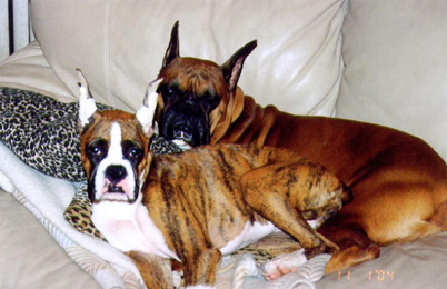 We Own this Couch