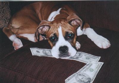 We pay her to be cute