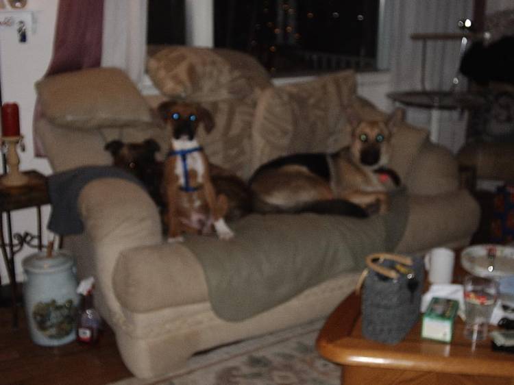 We rule the roost!