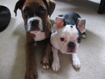 We want treats