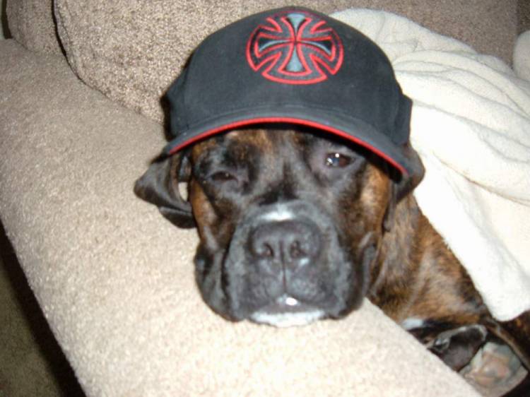 Wearing Daddy's hat