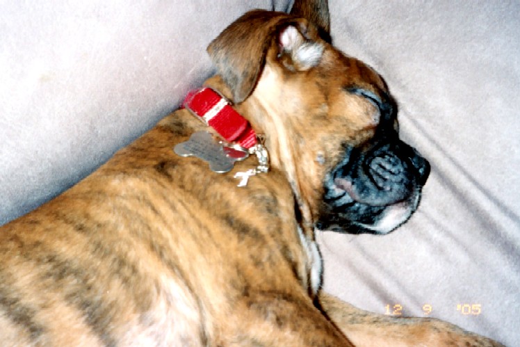 Wearing pink ribbon in honor of my sister