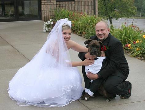 Wedding Day Family
