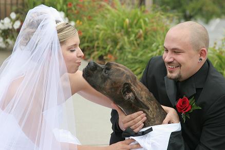 Wedding Day Kiss