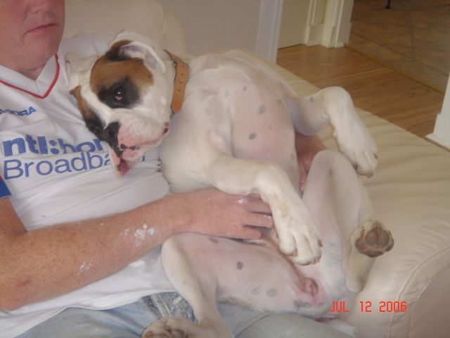 Wee Sook