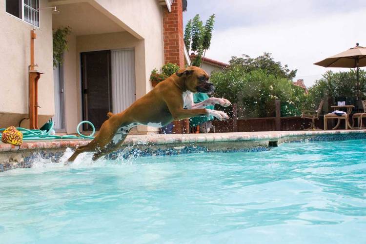 weeeeeeeee!