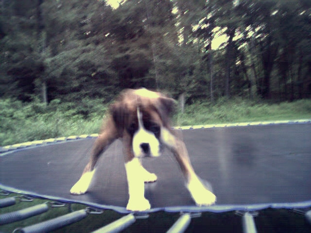 Weeeeeeeeeee this is fun!