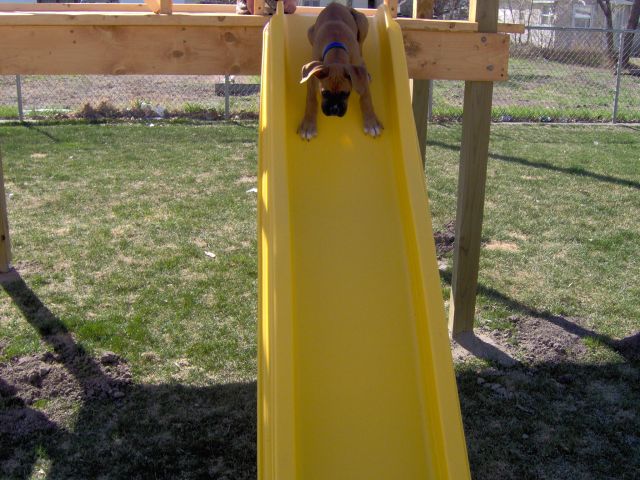 Weeeeeeeeeee!!!