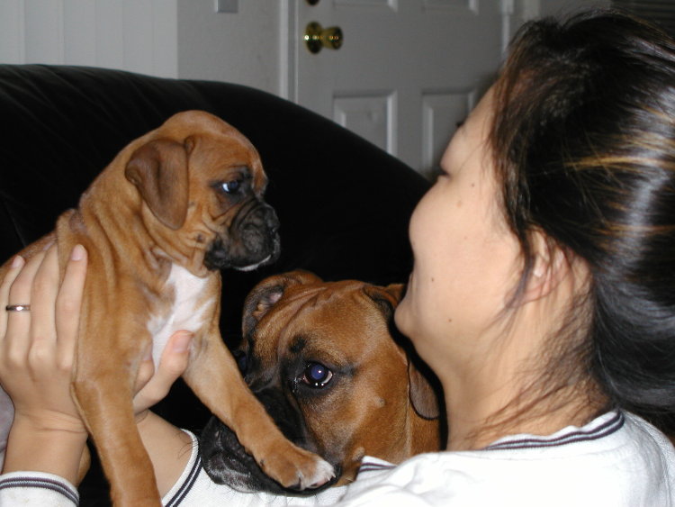Welcome home Sumi!