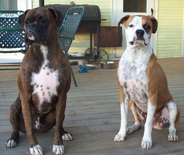 Welcome to our Porch!