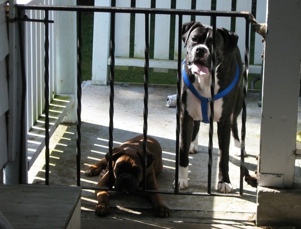 We'll be good, honest!