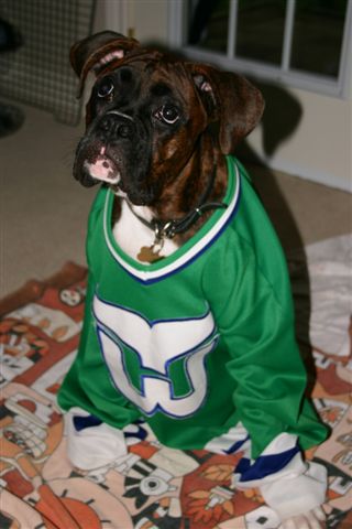 "Well, Mom KNOWS I'm a Leafs fan"!