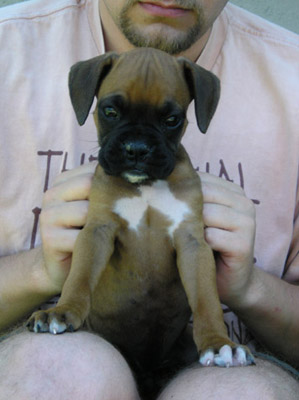 Wendel 7 weeks