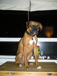 Wendel likes his new view