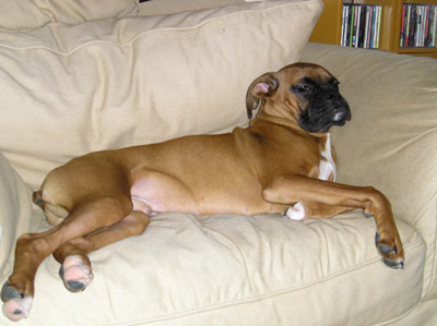 Wendel'sNew Bed