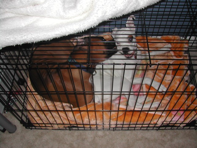 we're comfortable playing in small spaces!