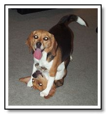 We're not boxers but you love us too