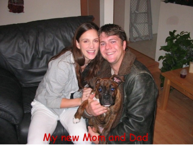 We're taking you to your new home