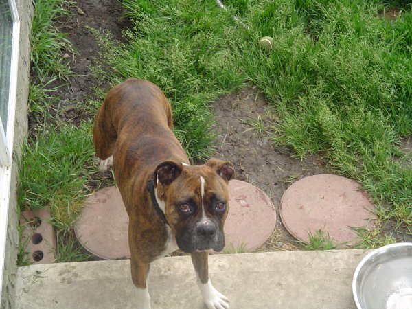 Were thinking of adopting her