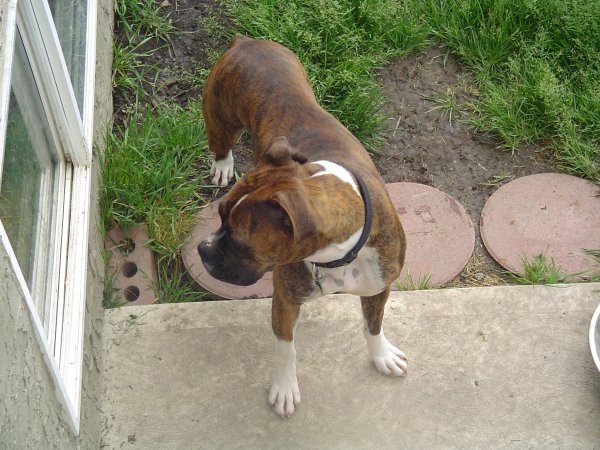 Were thinking of adopting her