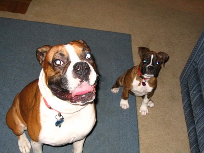 We're waiting.. Throw it already!