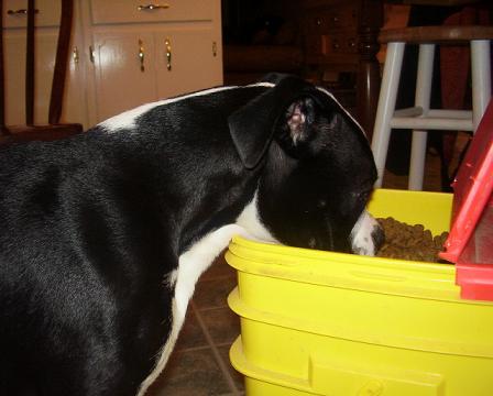 Were you hungry boy?