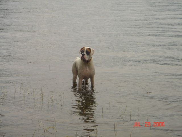 Wet Cassie