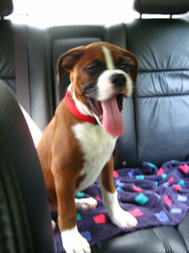 Whassaaaaaaaaaaap!!