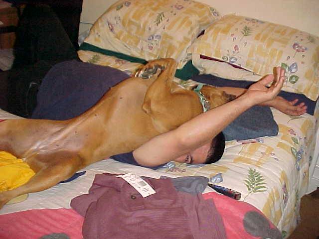 What? (2002)