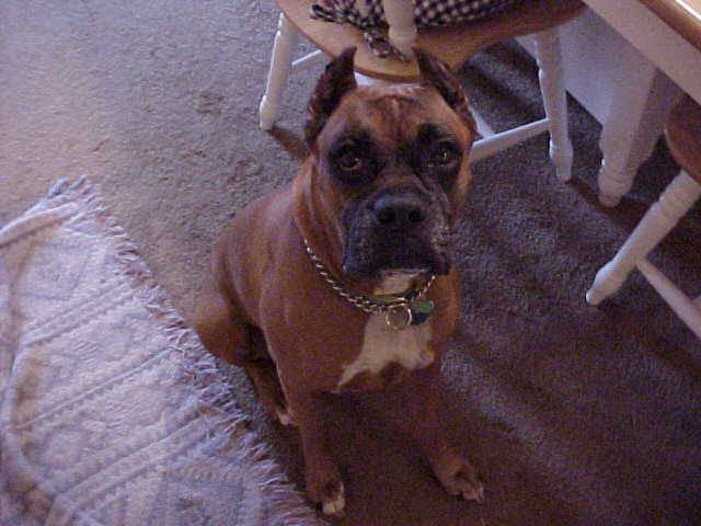 What? (4.2002)