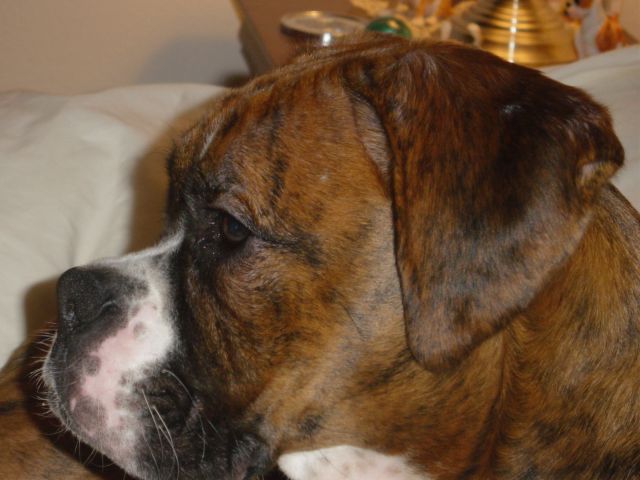What a beautiful profile