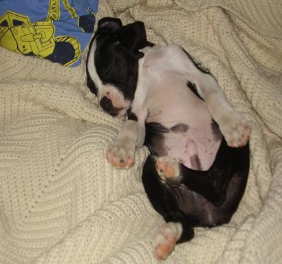 what a belly