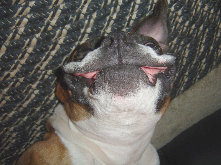 What a big smile you have!