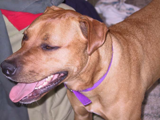What a content girl