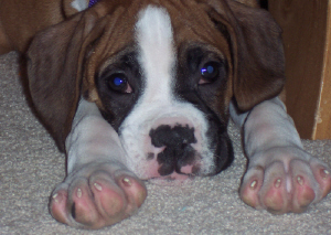 What a cute baby!