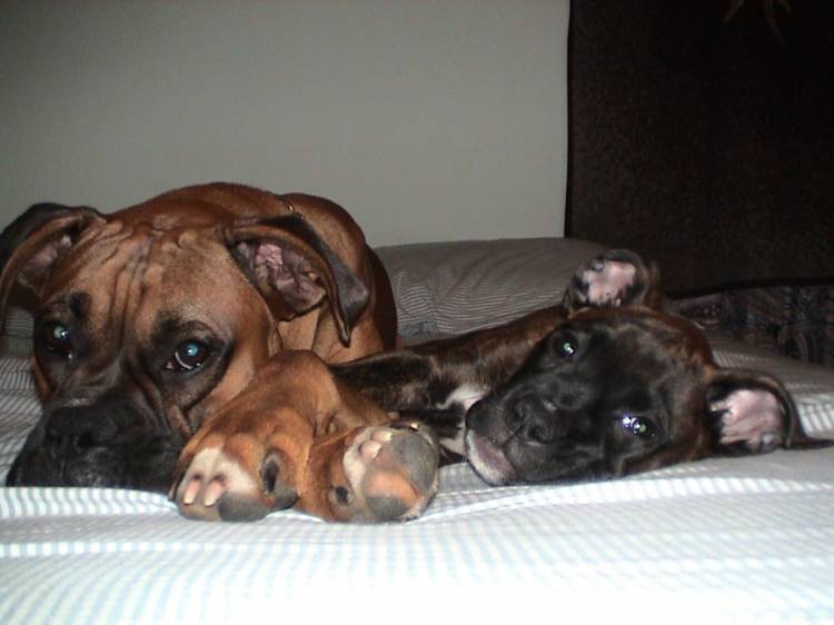 What a cute couple!