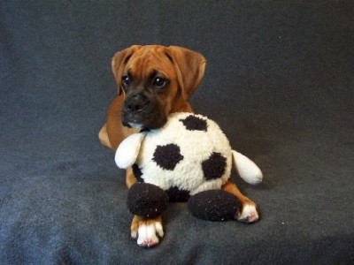 What a cutie!