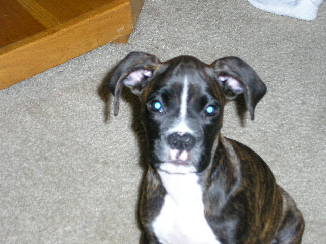 What a cutie!!!!