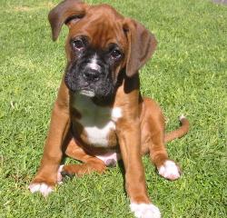 What a cutie!