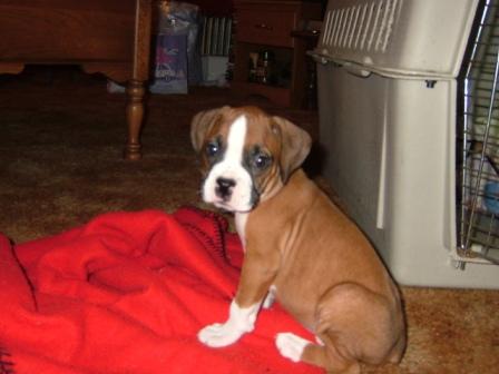 What a cutie!