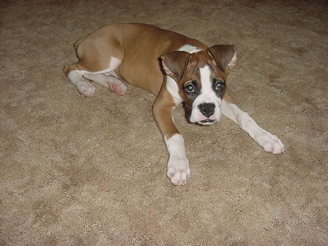 What a cutie!