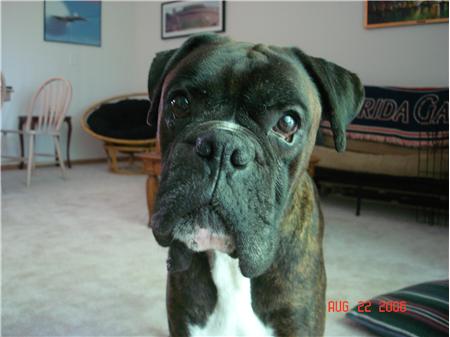 What a Cutie!
