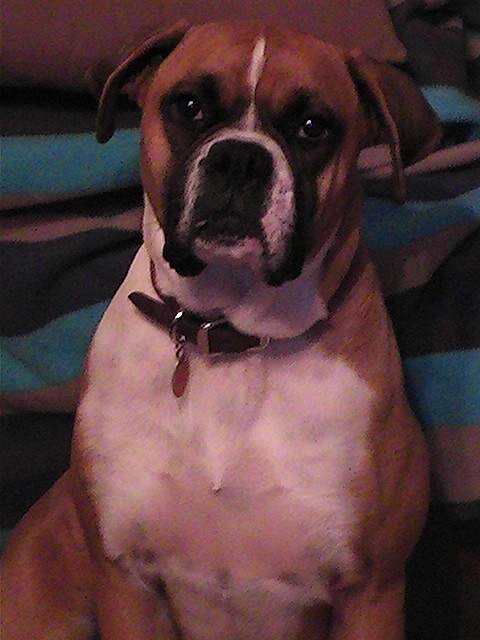 What a cutie
