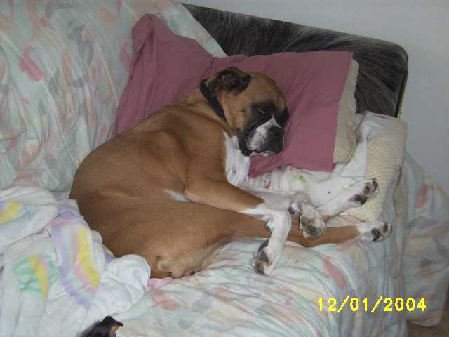 What a day, I'm sooo tired!