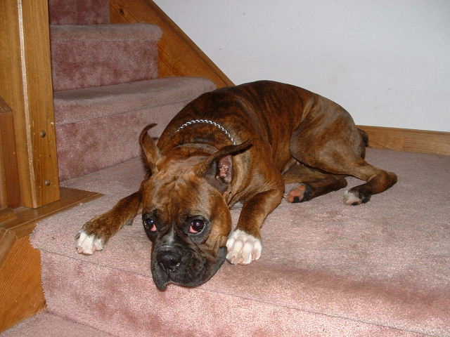 What a face!  What's not to love! ? !