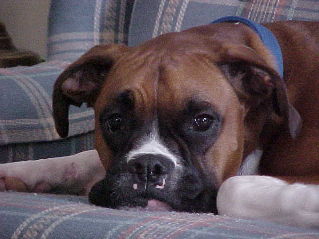 What a face!!