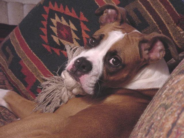 What a face!