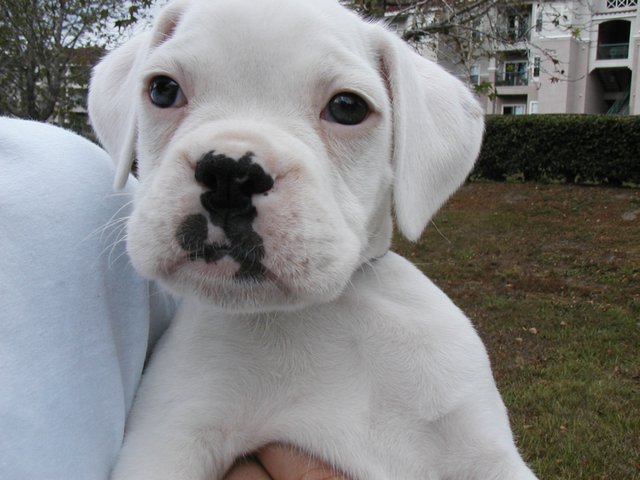 What a face!