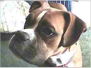 What a face