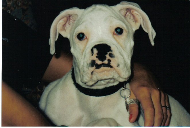 What a face!